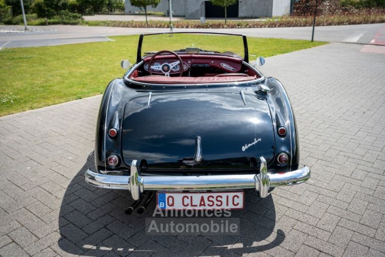 Austin Healey 100 100/6 - <small></small> 47.500 € <small>TTC</small> - #42