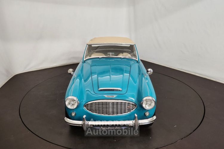 Austin Healey 100 100/6 BN6 - <small></small> 75.000 € <small>TTC</small> - #43