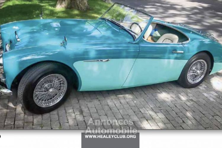 Austin Healey 100 100/6 BN6 - <small></small> 75.000 € <small>TTC</small> - #92