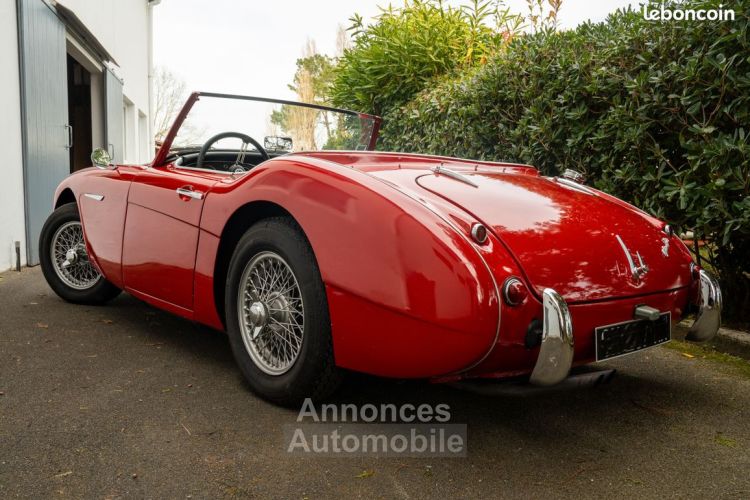 Austin Healey 100 6 BN 4 1959 overdrive - <small></small> 54.700 € <small>TTC</small> - #2