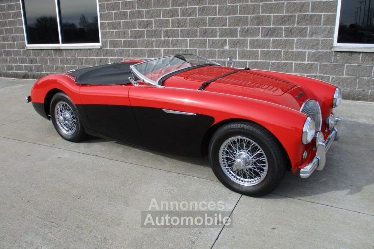 Austin Healey 100 BN2 100M Tribute  - <small></small> 69.000 € <small>TTC</small> - #1