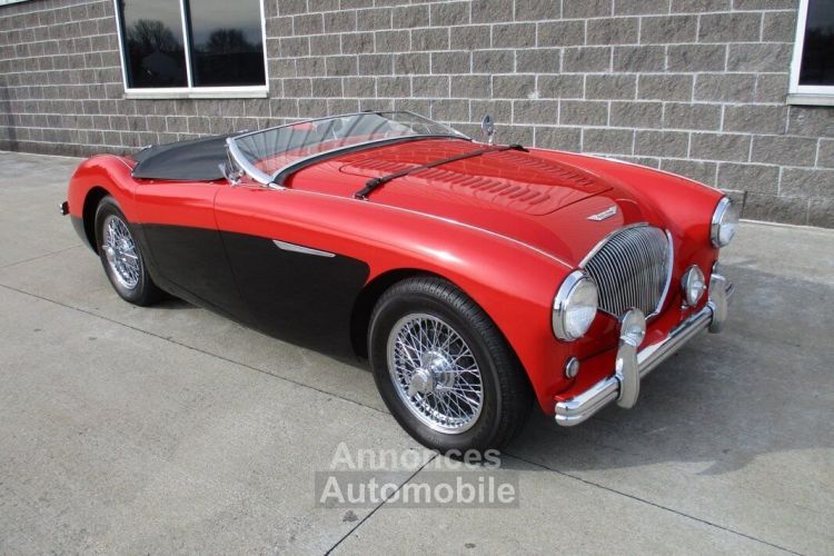 Austin Healey 100 BN2 100M Tribute  - <small></small> 69.000 € <small>TTC</small> - #2