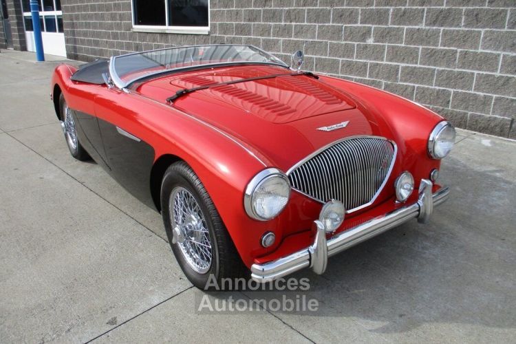 Austin Healey 100 BN2 100M Tribute  - <small></small> 69.000 € <small>TTC</small> - #4