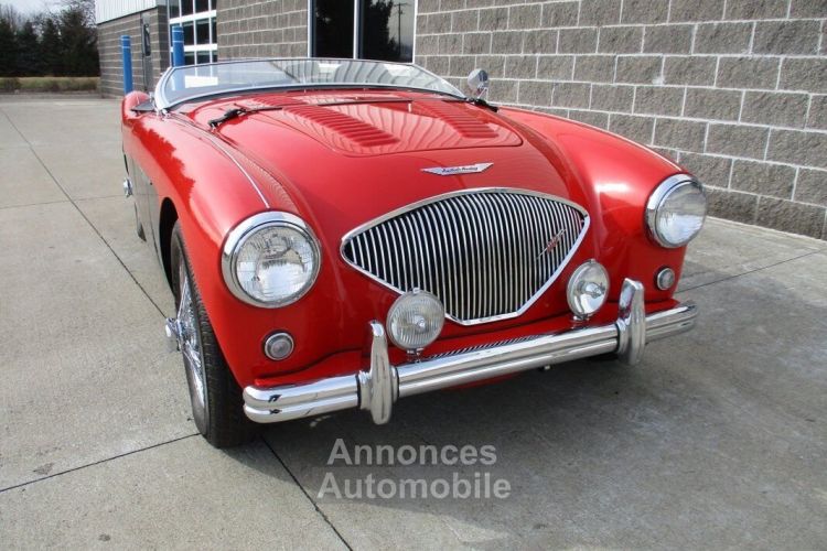 Austin Healey 100 BN2 100M Tribute  - <small></small> 69.000 € <small>TTC</small> - #5