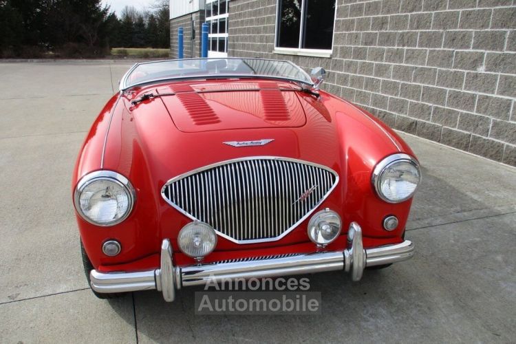 Austin Healey 100 BN2 100M Tribute  - <small></small> 69.000 € <small>TTC</small> - #6