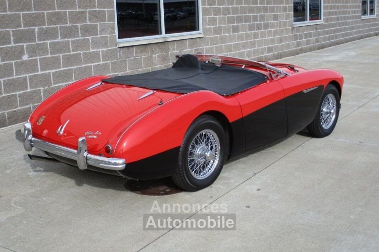 Austin Healey 100 BN2 100M Tribute  - <small></small> 69.000 € <small>TTC</small> - #8