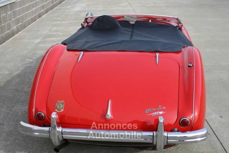 Austin Healey 100 BN2 100M Tribute  - <small></small> 69.000 € <small>TTC</small> - #10