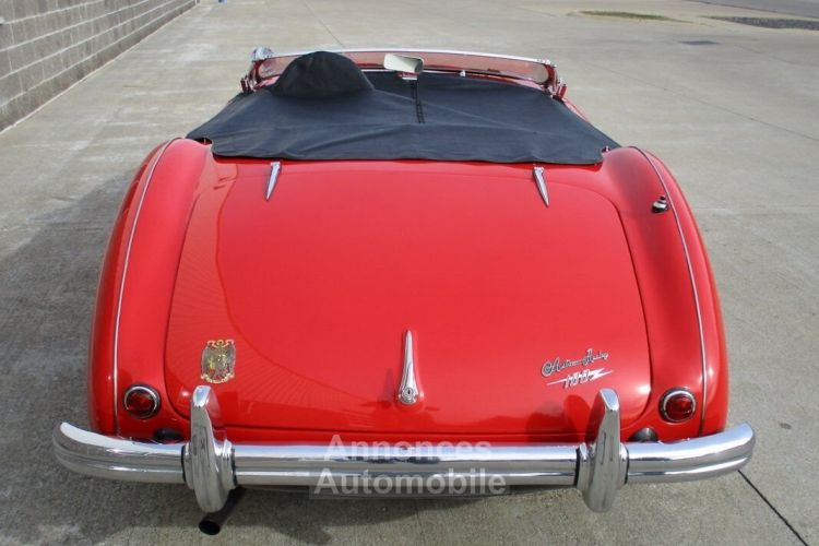 Austin Healey 100 BN2 100M Tribute  - <small></small> 69.000 € <small>TTC</small> - #11