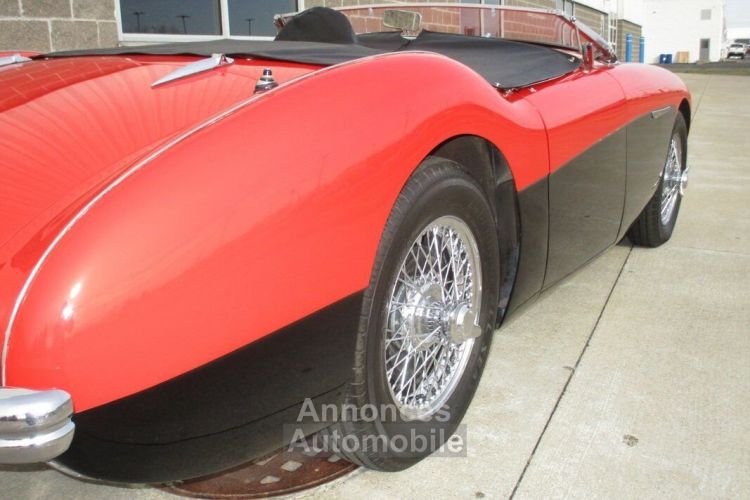 Austin Healey 100 BN2 100M Tribute  - <small></small> 69.000 € <small>TTC</small> - #12