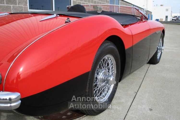 Austin Healey 100 BN2 100M Tribute  - <small></small> 69.000 € <small>TTC</small> - #13