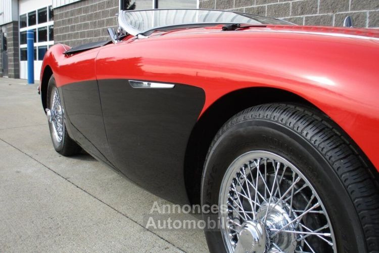 Austin Healey 100 BN2 100M Tribute  - <small></small> 69.000 € <small>TTC</small> - #14