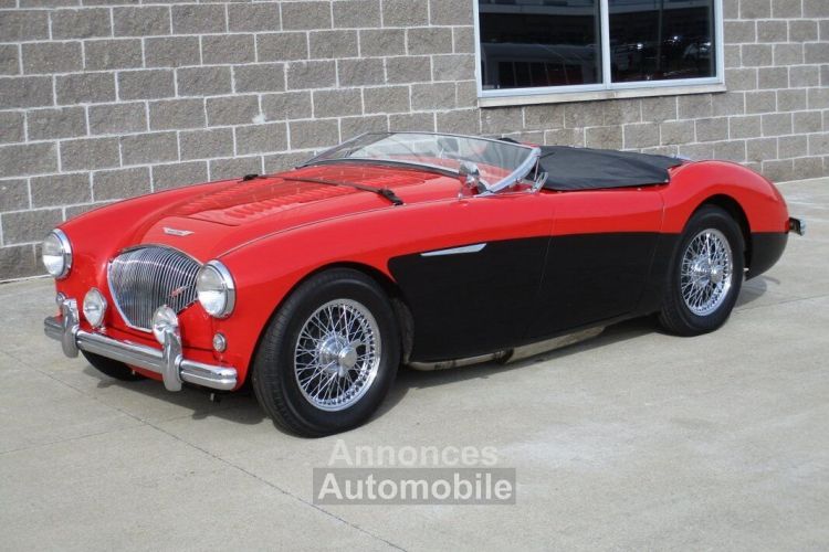 Austin Healey 100 BN2 100M Tribute  - <small></small> 69.000 € <small>TTC</small> - #15