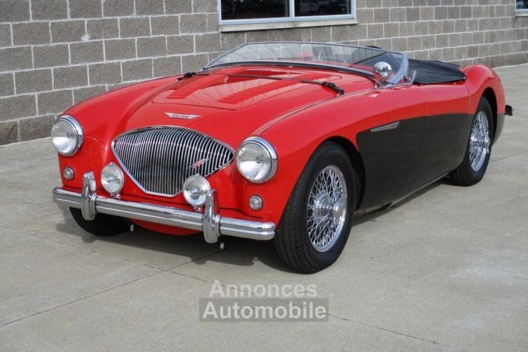 Austin Healey 100 BN2 100M Tribute  - <small></small> 69.000 € <small>TTC</small> - #16