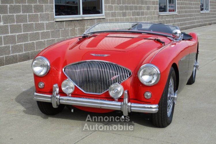 Austin Healey 100 BN2 100M Tribute  - <small></small> 69.000 € <small>TTC</small> - #17