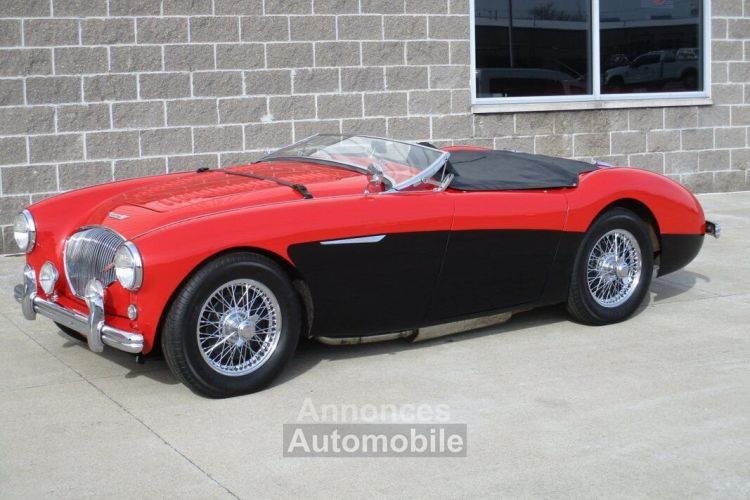 Austin Healey 100 BN2 100M Tribute  - <small></small> 69.000 € <small>TTC</small> - #19