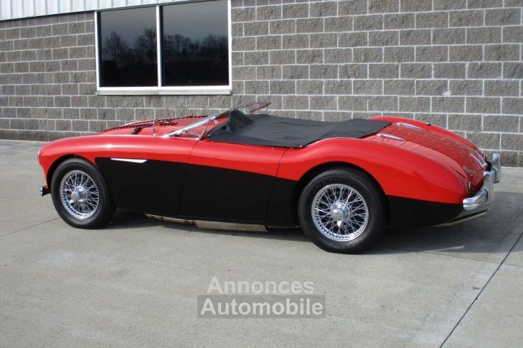 Austin Healey 100 BN2 100M Tribute  - <small></small> 69.000 € <small>TTC</small> - #22