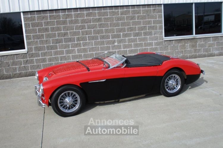 Austin Healey 100 BN2 100M Tribute  - <small></small> 69.000 € <small>TTC</small> - #24