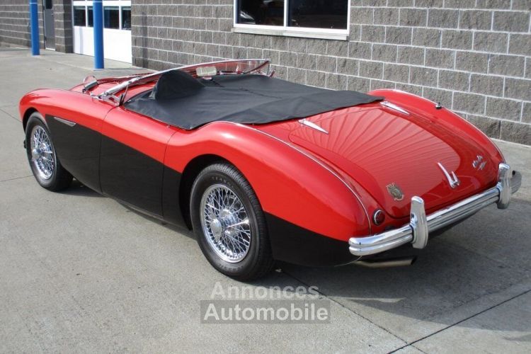 Austin Healey 100 BN2 100M Tribute  - <small></small> 69.000 € <small>TTC</small> - #26