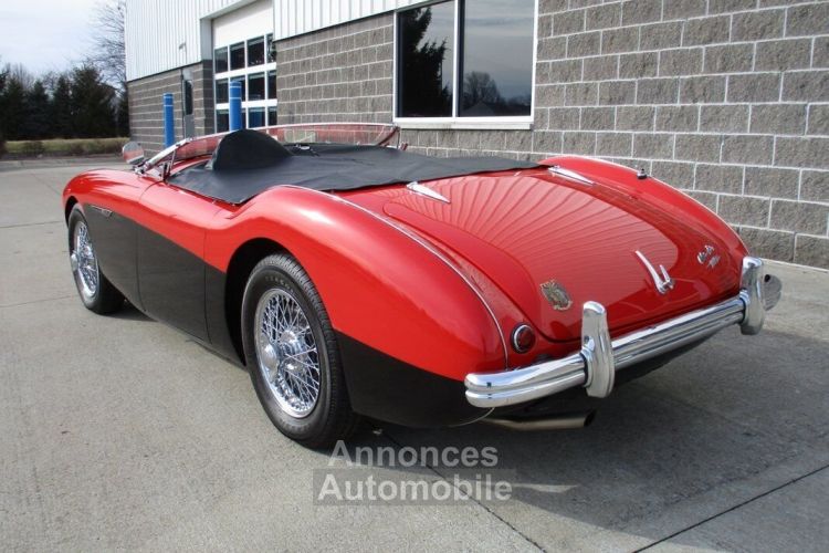 Austin Healey 100 BN2 100M Tribute  - <small></small> 69.000 € <small>TTC</small> - #27