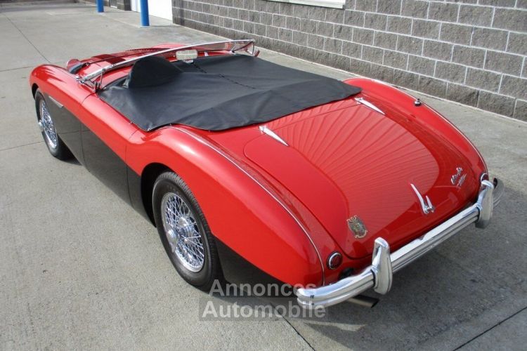 Austin Healey 100 BN2 100M Tribute  - <small></small> 69.000 € <small>TTC</small> - #28