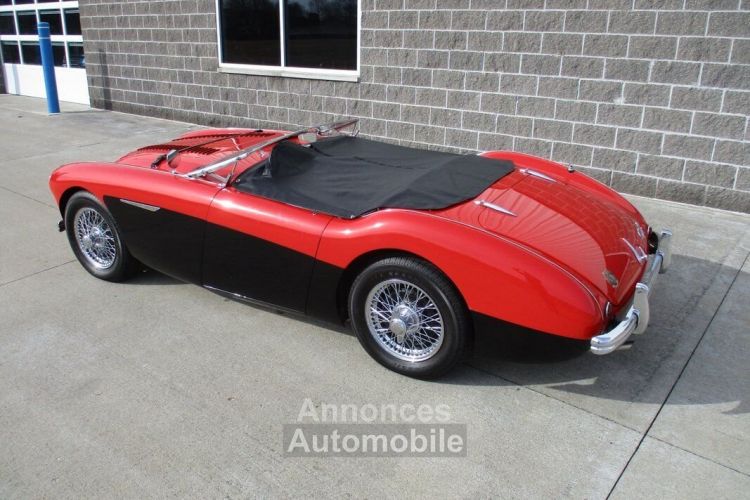 Austin Healey 100 BN2 100M Tribute  - <small></small> 69.000 € <small>TTC</small> - #30