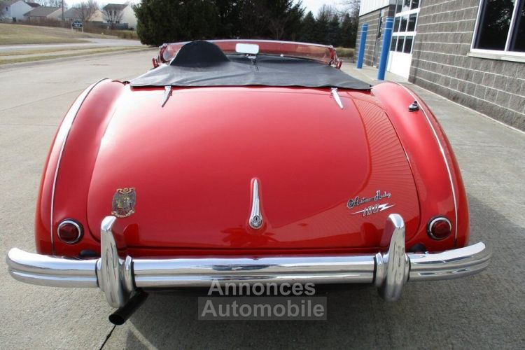 Austin Healey 100 BN2 100M Tribute  - <small></small> 69.000 € <small>TTC</small> - #34