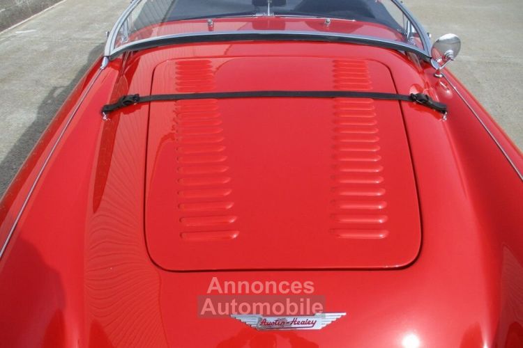 Austin Healey 100 BN2 100M Tribute  - <small></small> 69.000 € <small>TTC</small> - #38