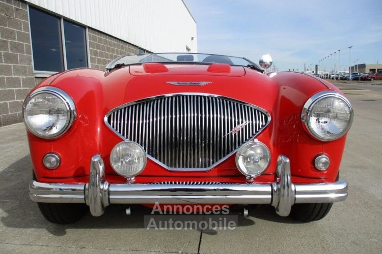 Austin Healey 100 BN2 100M Tribute  - <small></small> 69.000 € <small>TTC</small> - #40