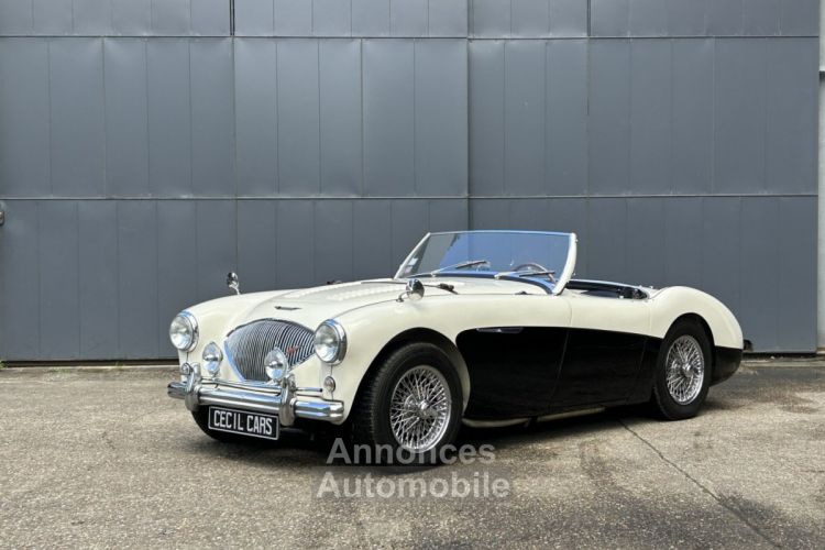 Austin Healey 100 BN2 - <small></small> 105.000 € <small>TTC</small> - #1