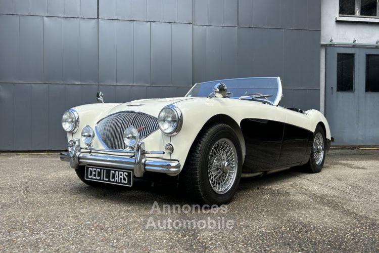 Austin Healey 100 BN2 - <small></small> 105.000 € <small>TTC</small> - #2