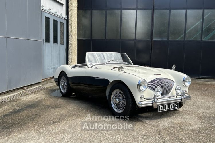 Austin Healey 100 BN2 - <small></small> 105.000 € <small>TTC</small> - #5