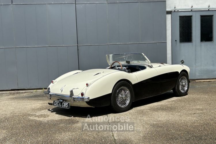 Austin Healey 100 BN2 - <small></small> 105.000 € <small>TTC</small> - #6