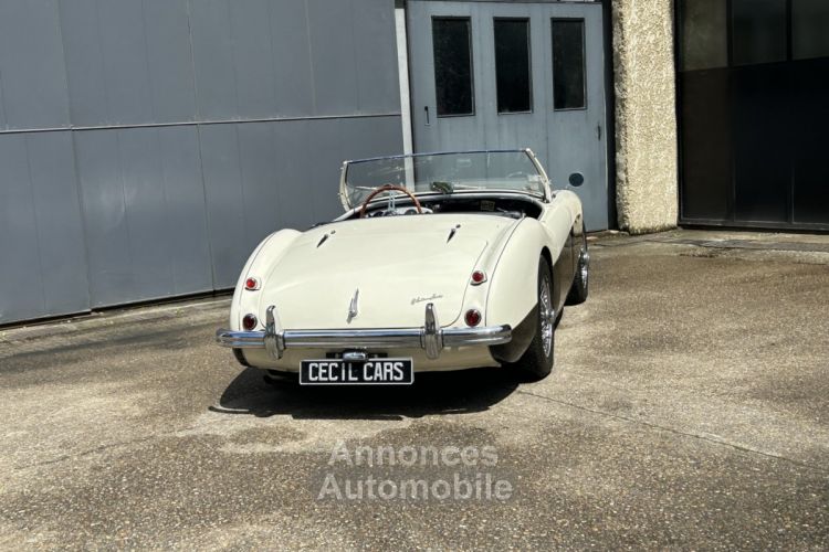 Austin Healey 100 BN2 - <small></small> 105.000 € <small>TTC</small> - #7