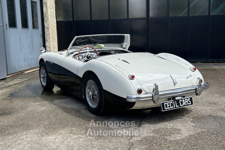 Austin Healey 100 BN2 - <small></small> 105.000 € <small>TTC</small> - #9