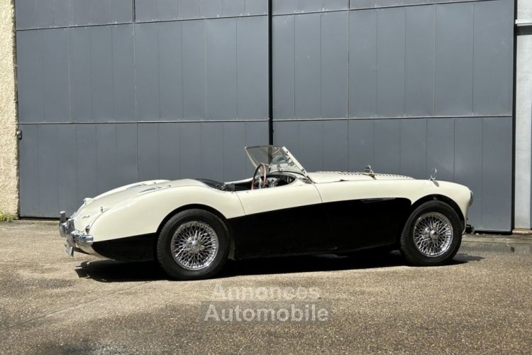 Austin Healey 100 BN2 - <small></small> 105.000 € <small>TTC</small> - #10