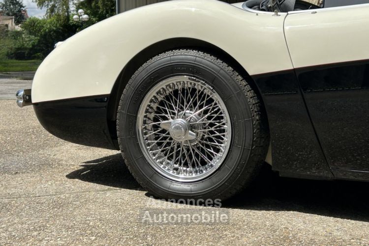 Austin Healey 100 BN2 - <small></small> 105.000 € <small>TTC</small> - #11