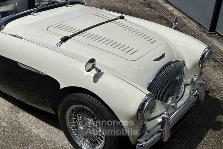 Austin Healey 100 BN2 - <small></small> 105.000 € <small>TTC</small> - #13