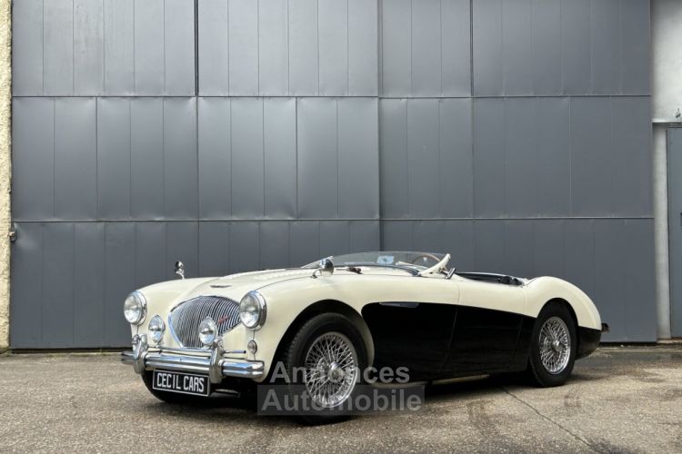 Austin Healey 100 BN2 - <small></small> 105.000 € <small>TTC</small> - #20