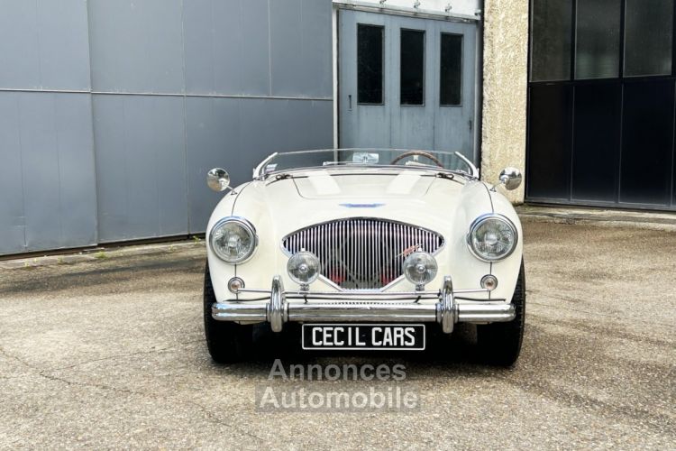 Austin Healey 100 BN2 - <small></small> 105.000 € <small>TTC</small> - #21