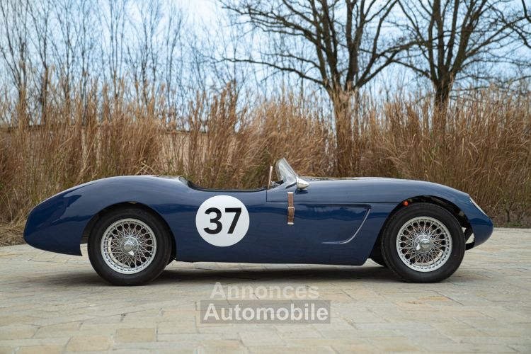 Austin Healey 100 BUCKLER DD2 COVENTRY CLIMAX - Prix sur Demande - #23