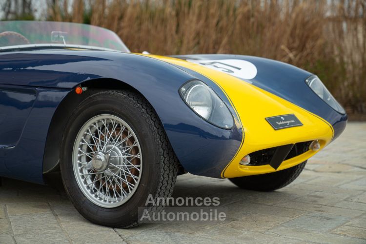 Austin Healey 100 BUCKLER DD2 COVENTRY CLIMAX - Prix sur Demande - #24