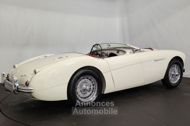 Austin Healey 100 kit Le Mans - <small></small> 115.000 € <small>TTC</small> - #12