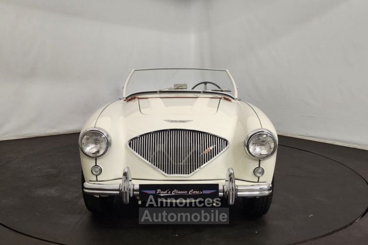 Austin Healey 100 kit Le Mans - <small></small> 115.000 € <small>TTC</small> - #14