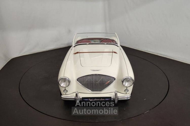 Austin Healey 100 kit Le Mans - <small></small> 115.000 € <small>TTC</small> - #15