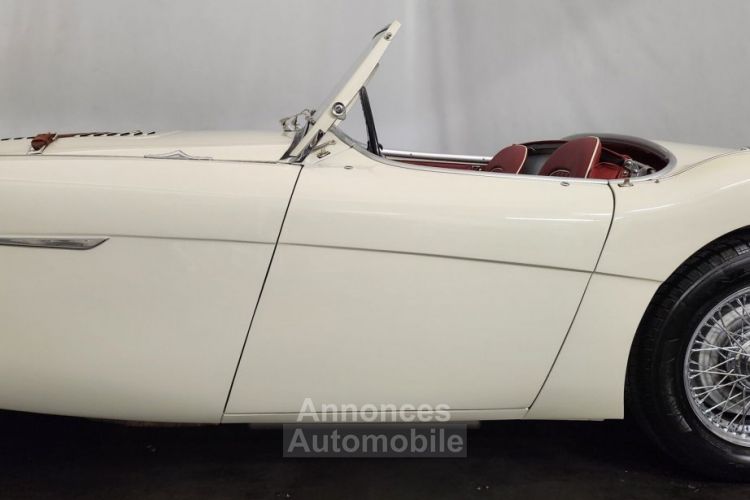 Austin Healey 100 kit Le Mans - <small></small> 115.000 € <small>TTC</small> - #19