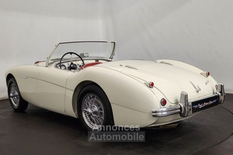 Austin Healey 100 kit Le Mans - <small></small> 115.000 € <small>TTC</small> - #21