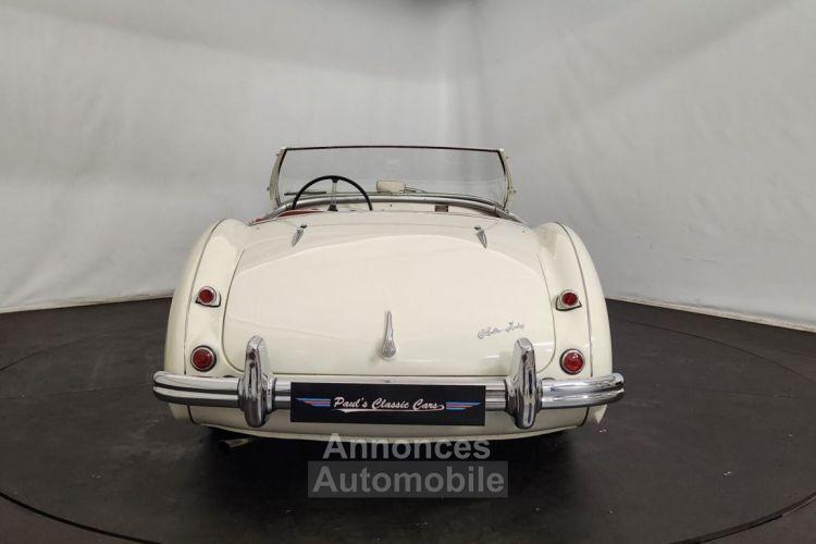 Austin Healey 100 kit Le Mans - <small></small> 115.000 € <small>TTC</small> - #22