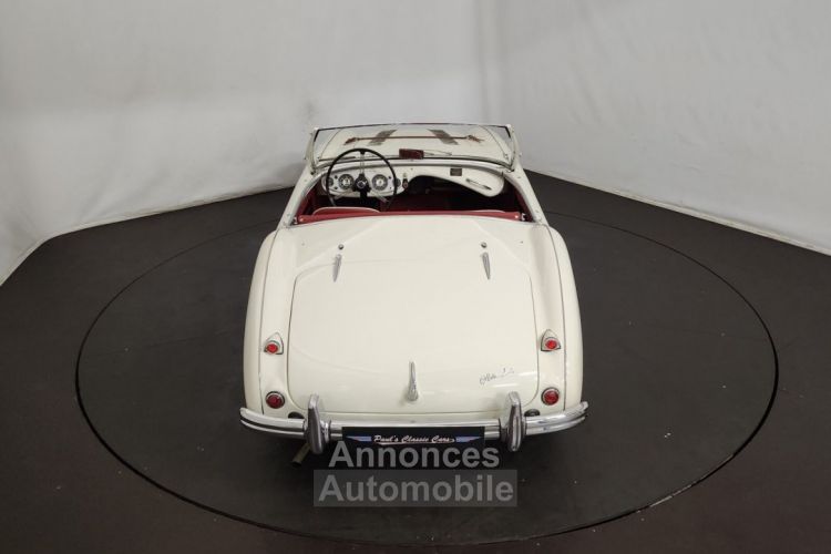 Austin Healey 100 kit Le Mans - <small></small> 115.000 € <small>TTC</small> - #23