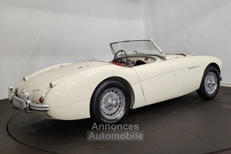 Austin Healey 100 kit Le Mans - <small></small> 115.000 € <small>TTC</small> - #24