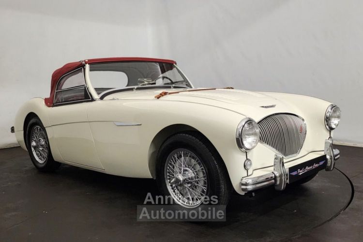 Austin Healey 100 kit Le Mans - <small></small> 115.000 € <small>TTC</small> - #30